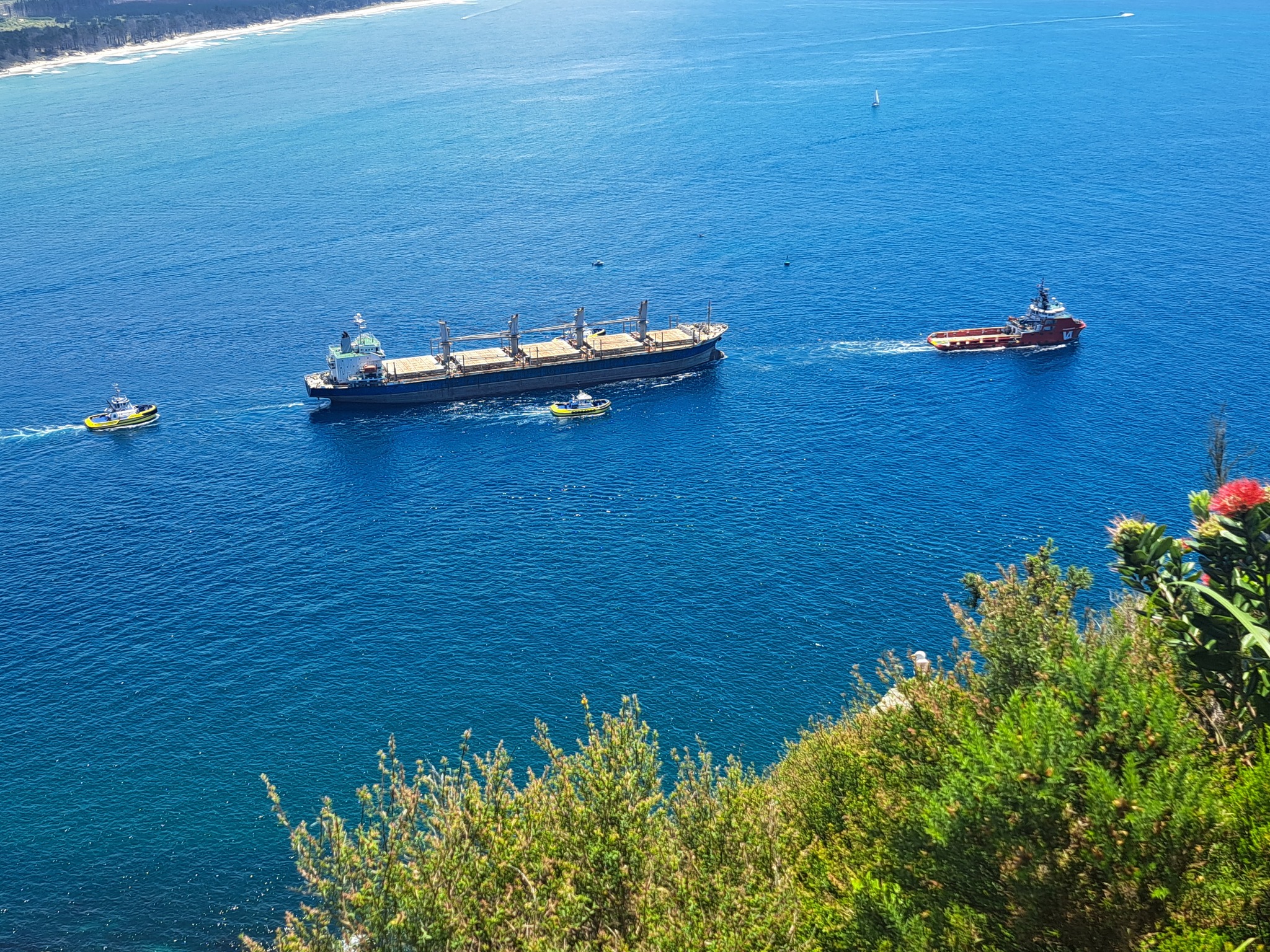 A Beacon in the Port: Life at the United Seafarers Mission in Tauranga, New Zealand